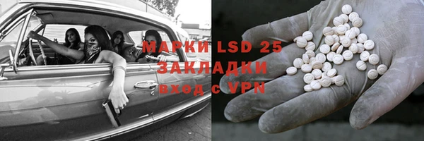 эйфоретик Няндома