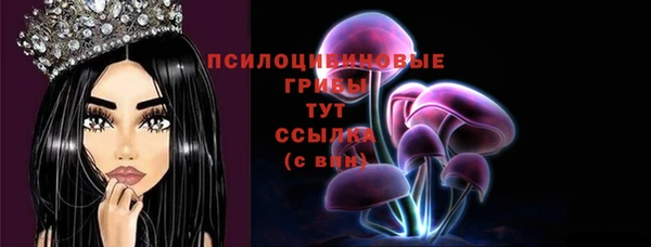 соль ск Алексеевка
