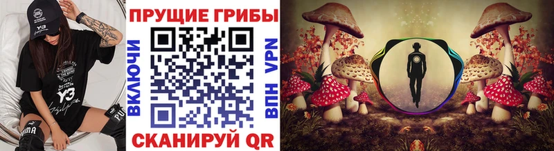 Псилоцибиновые грибы мицелий  Заполярный 